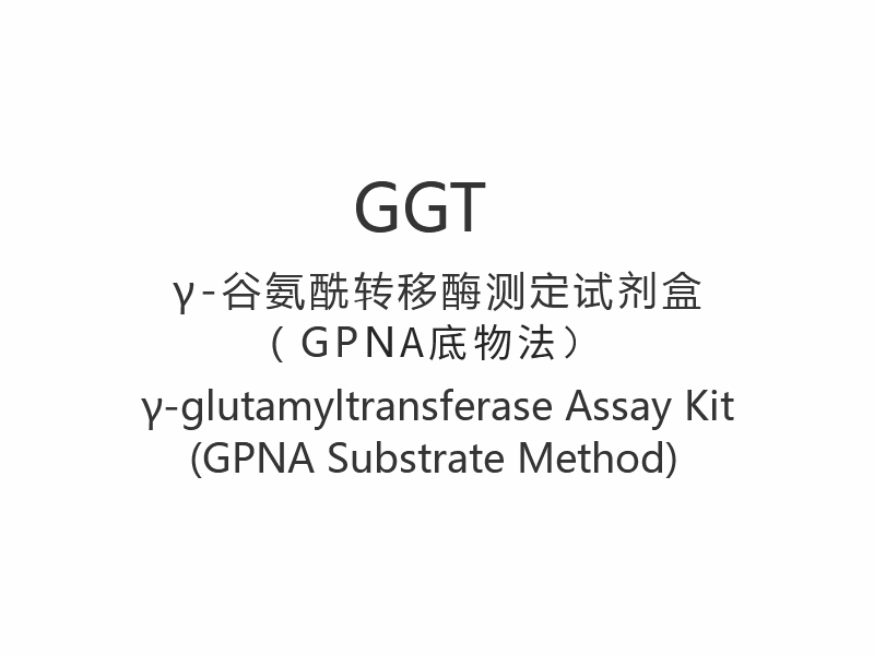 【GGT】γ-グルタミルトランスフェラーゼアッセイキット（GPNA基質法）