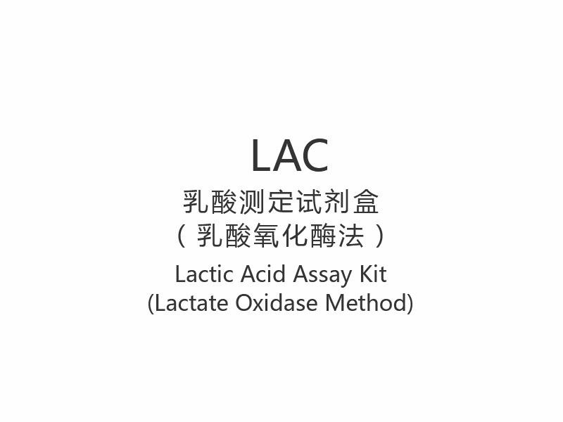 【LAC】乳酸測定キット（乳酸オキシダーゼ法）
