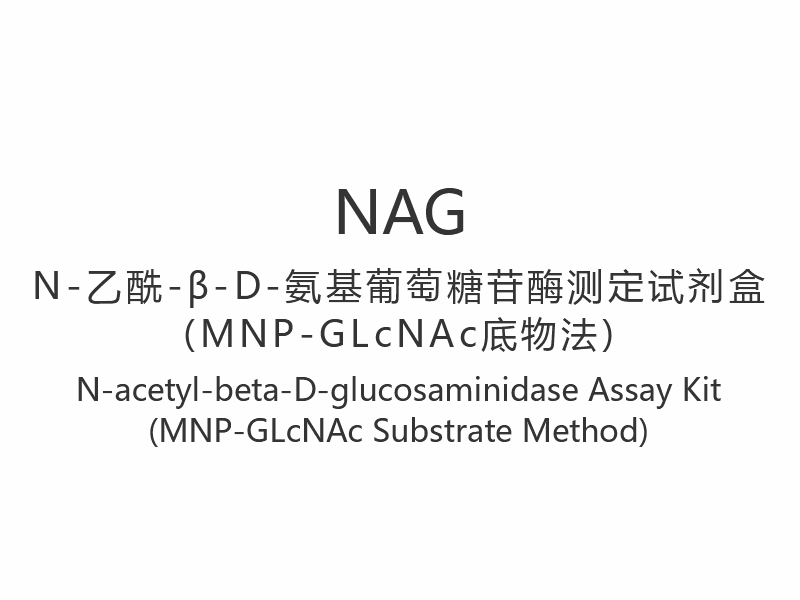 【NAG】N-アセチル-ベータ-D-グルコサミニダーゼアッセイキット（MNP-GLcNAc基質法）